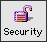 security icon