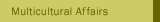 Multicultural Affairs