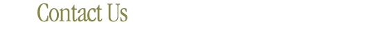 Contact Us
