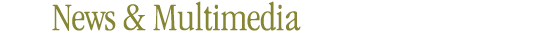 News & Multimedia