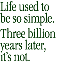 Life used to be so simple. Now it’s not.