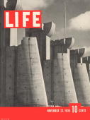 Life Cover Image