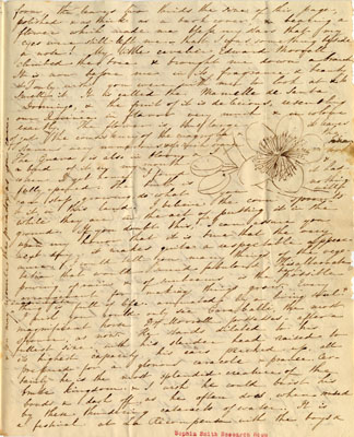 One page of an eight page letter from Sophia Peabody to Maria Chase, Salem, Massachusetts, April 24, 1834