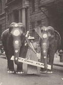 Portia Willis with elephants and suffrage plank
