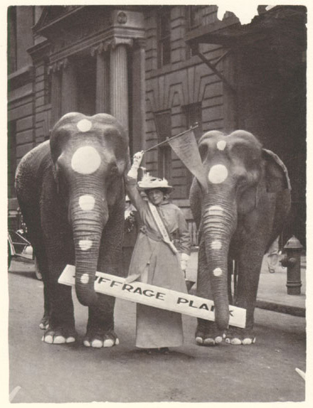 Portia Willis Fitzgerald and elephants carrying the 