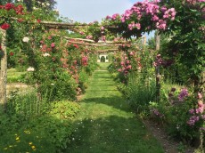 Capen Garden: A Favorite Place