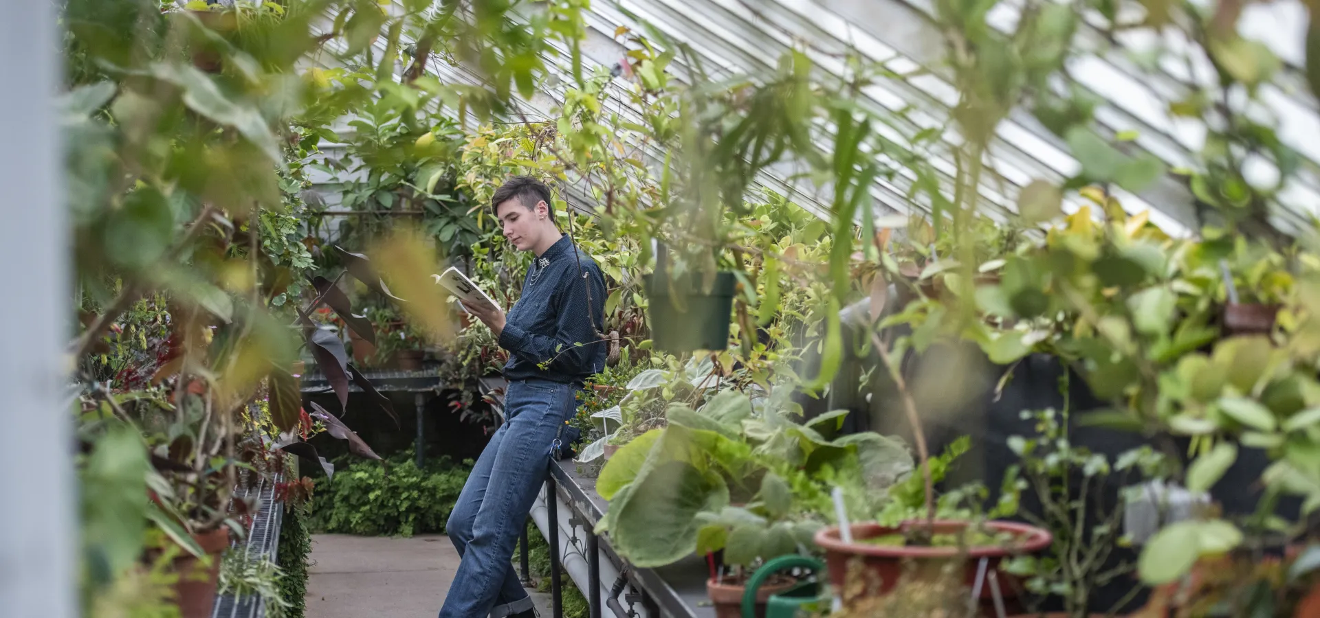 A student in the greenhouse, reading a book.