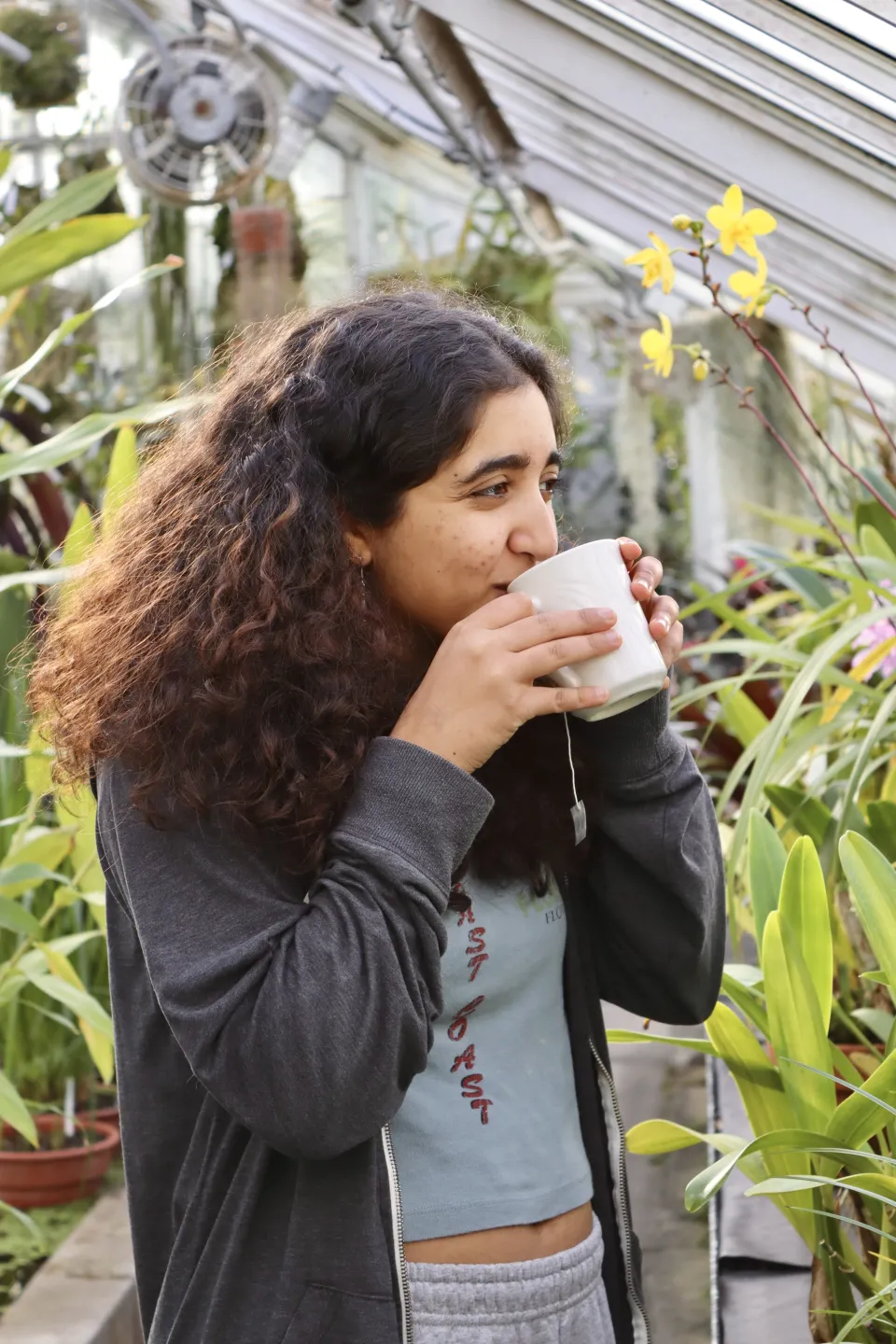 A Smith student sips tea from a white mug in Lyman Conservatory
