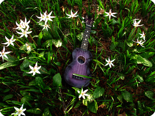Care of the Soul:  Uke-o-pathy Regression in the service of the Ego (7/1/15, 7 pm)