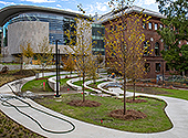 A Peek Inside the New Neilson Library