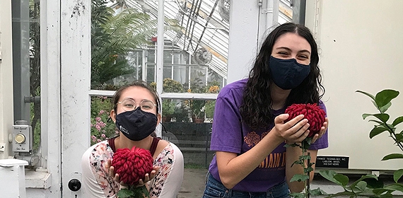 Students Diligently Prep Mums for 2021 Show
