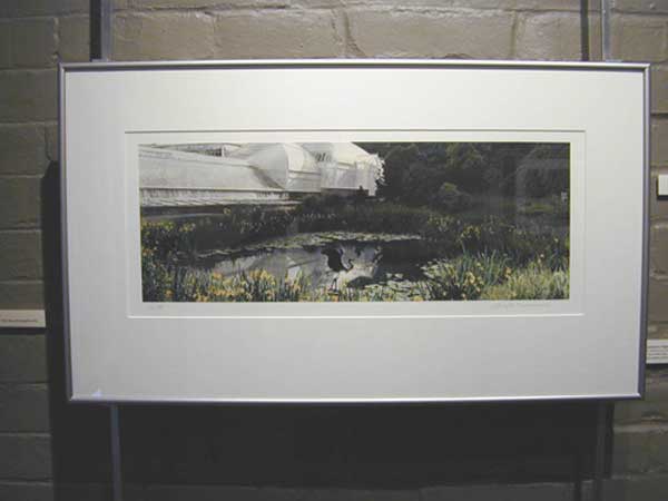 Conservatory in color