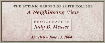 Botanical Gardens of Smith College Past Exhibits: Photographer Judy Messer