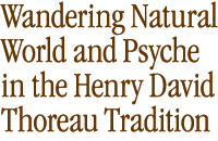 Wandering Natural World and Psyche in the Henry David Thoreau Tradition