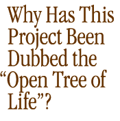 Why has this project been dubbed the Open Tree of Life