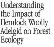 Understanding the Impact of Hemlock Woolly Adelgid on Forest Ecology