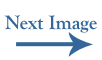 Next Image