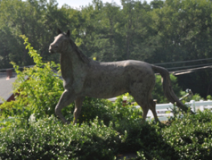 Equestrian Center