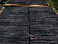 new slate roof