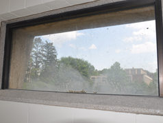 Sabin-Reed windows
