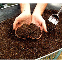 composting