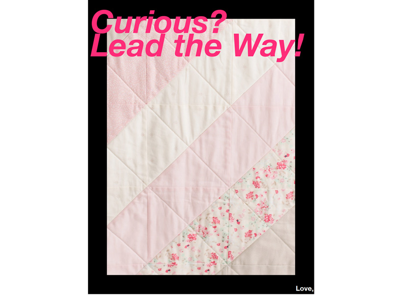 Thrifted pink quilt background with flower details and geometric threading, surrounded by a thick black border. Large italicized sans-serif letters in hot pink that say: “Curious? Lead the Way!”