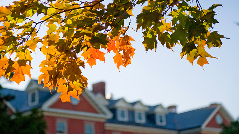 Fall leaves in front of an out-of-focus campus building, Smith College