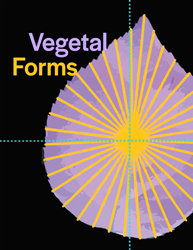 "Vegetal Forms" with graphic purple leaf, gold sunburst in the center