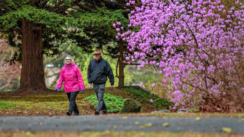 Joel Kaminsky and wife Jody Rosenbloom walking in Childs Park, April 2021