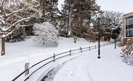 Pathway behind Wright Hall in winter