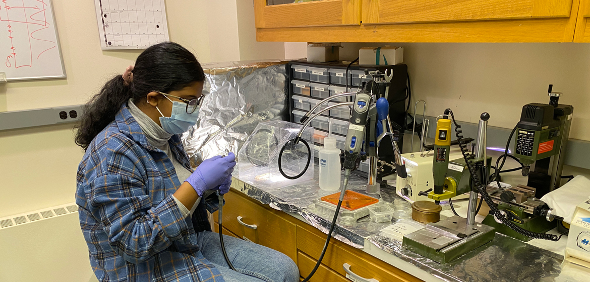 Geosciences | Smith College
