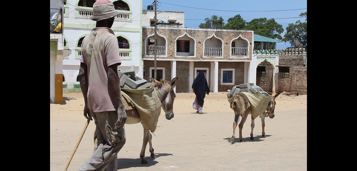 Photo of a man walking in the street in Kenya. In front of him are two donkeys carrying cinderblocks in sacks on their backs.