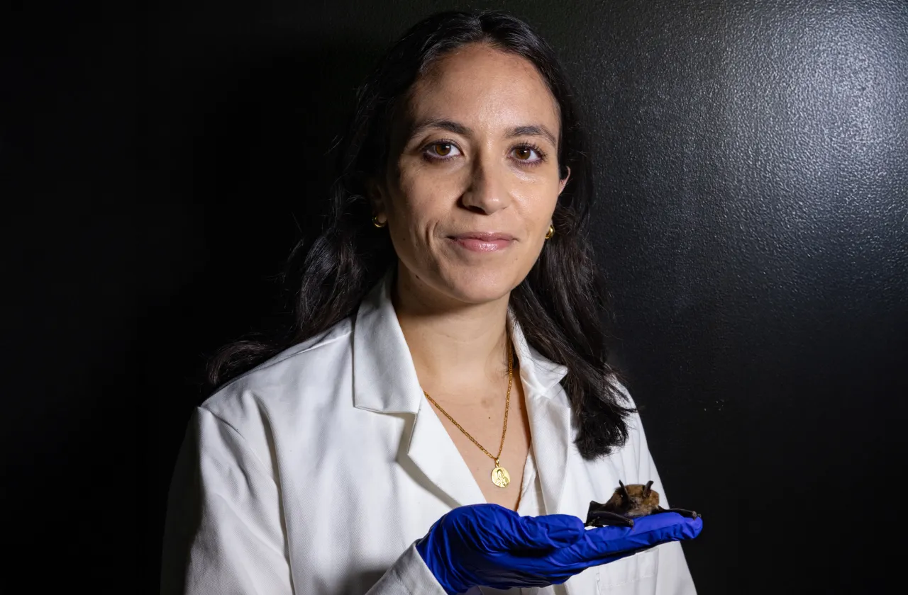 Tanya Lama holding a sleeping bat