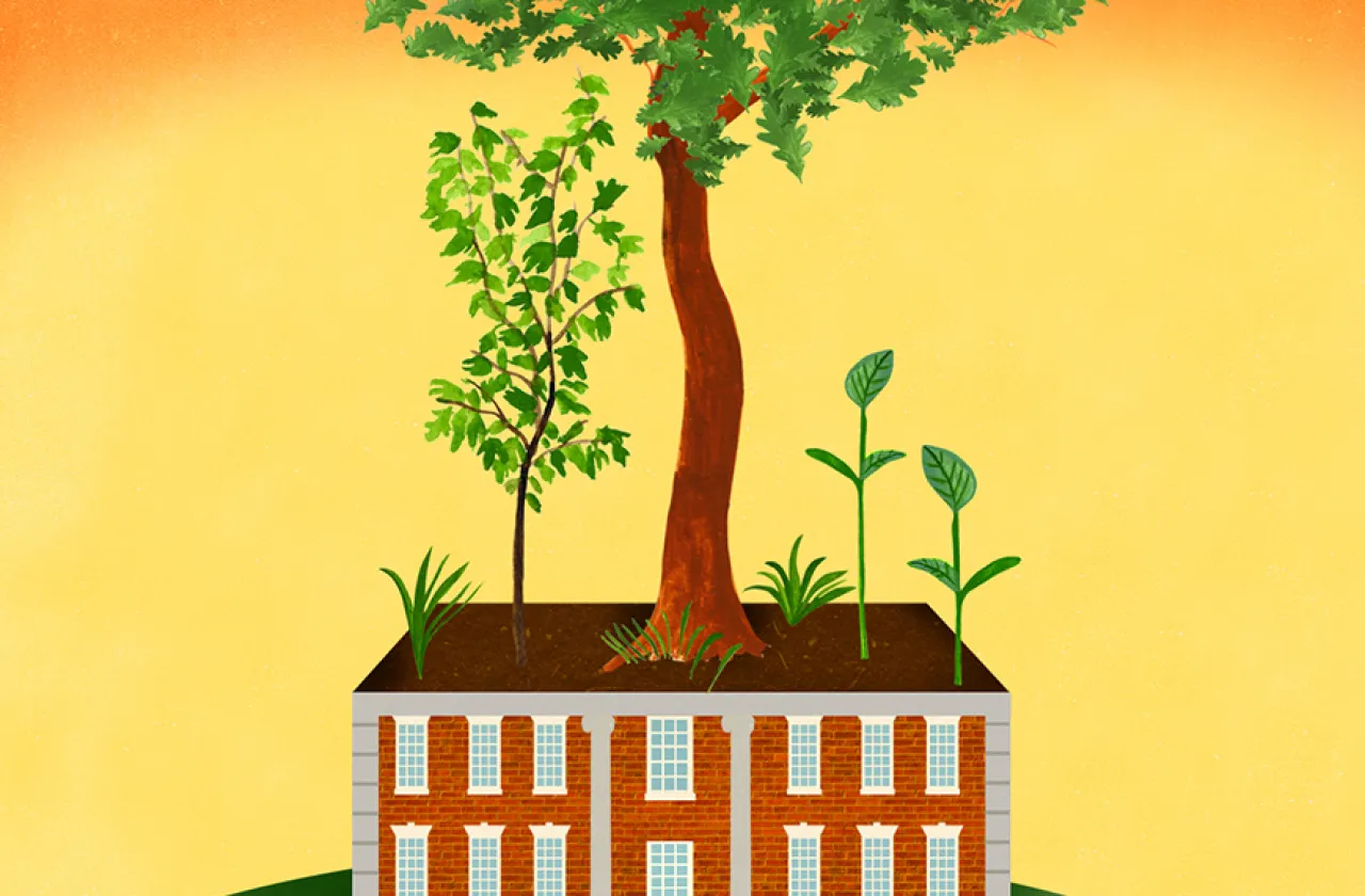 color illustration of brick building with green tree growing out of it for CEEDS
