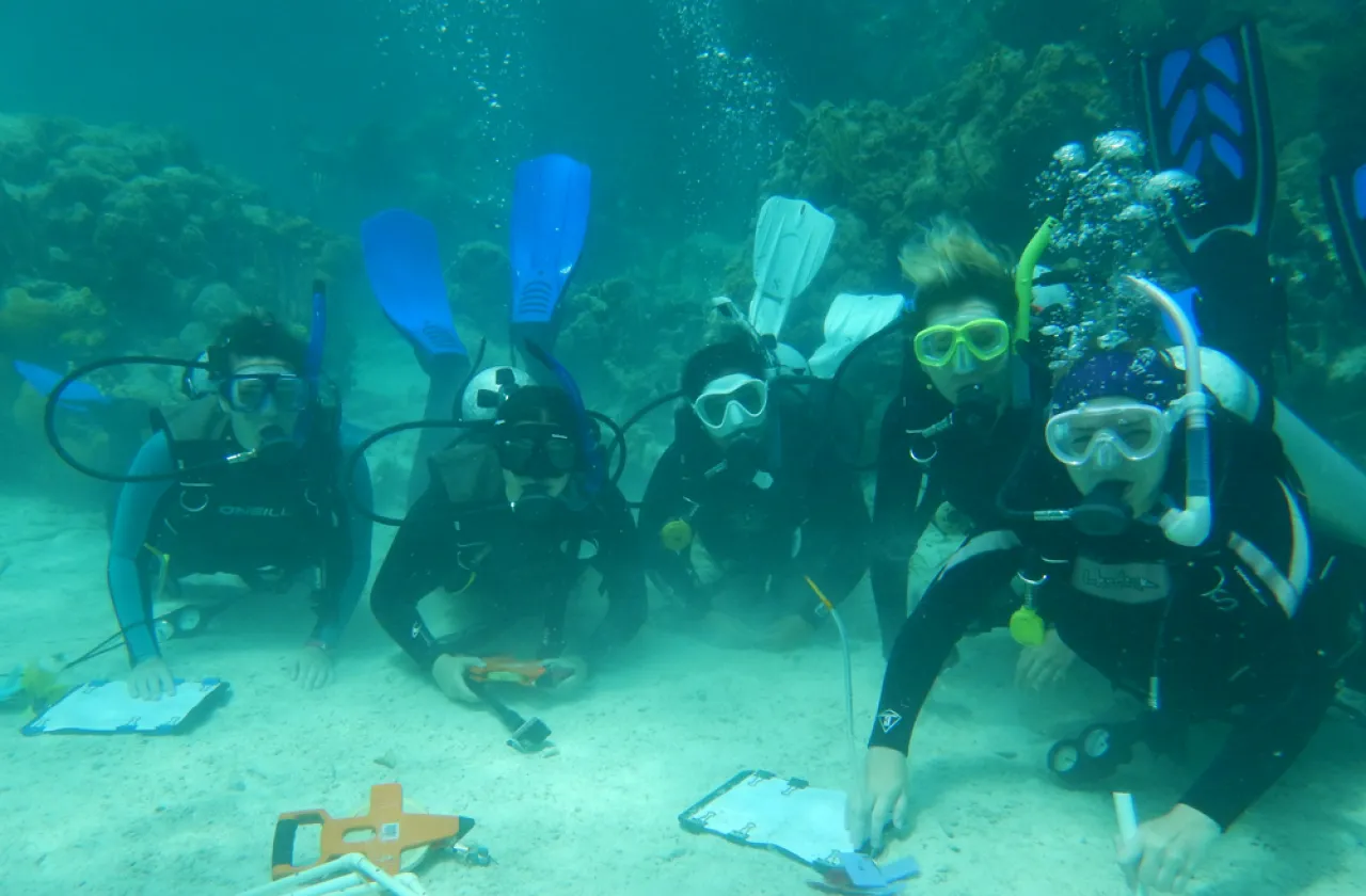 five scuba divers