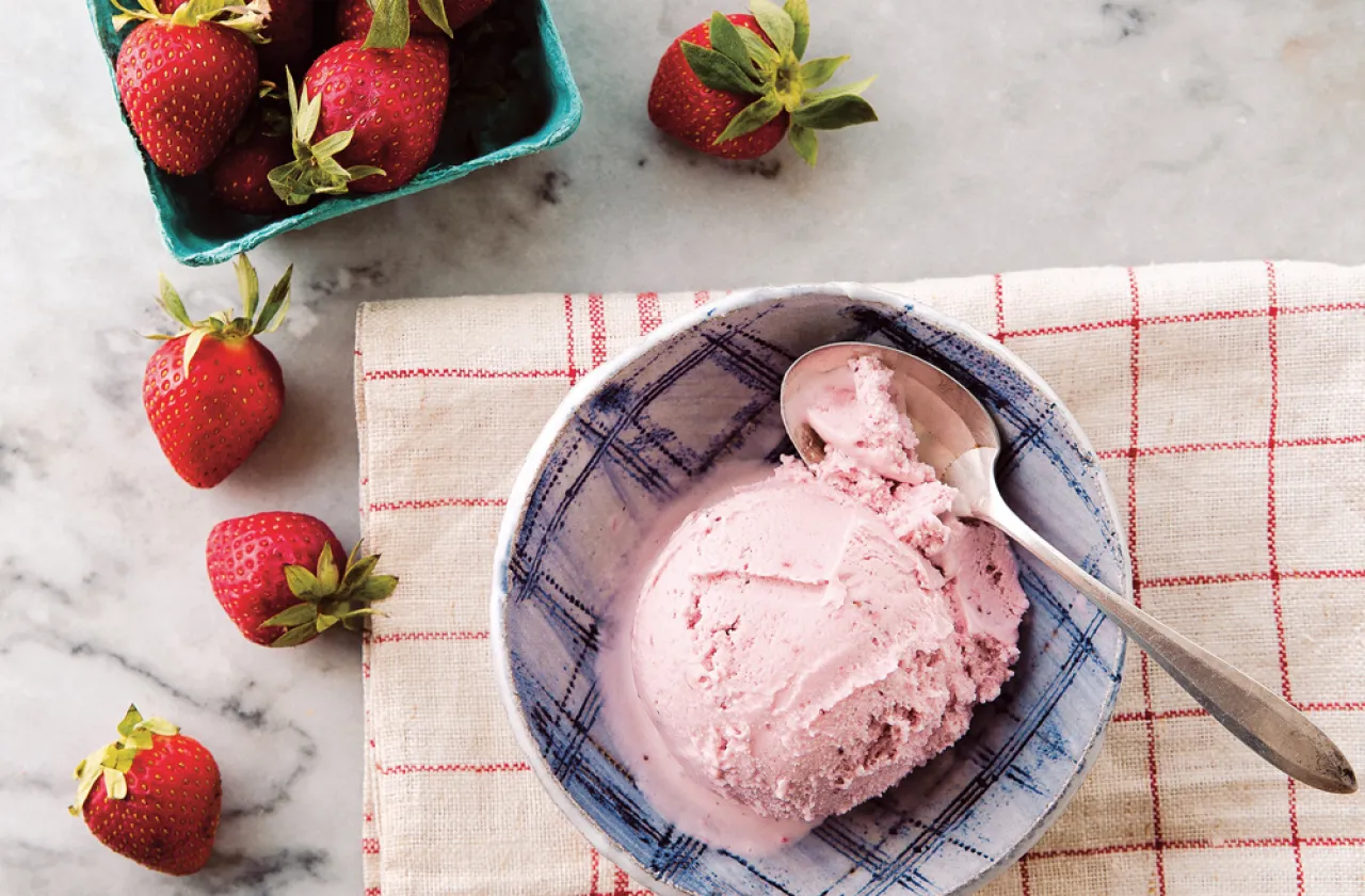 Bowl of strawberry vegan ice cream with fresh strawberries artfully scattered around it.