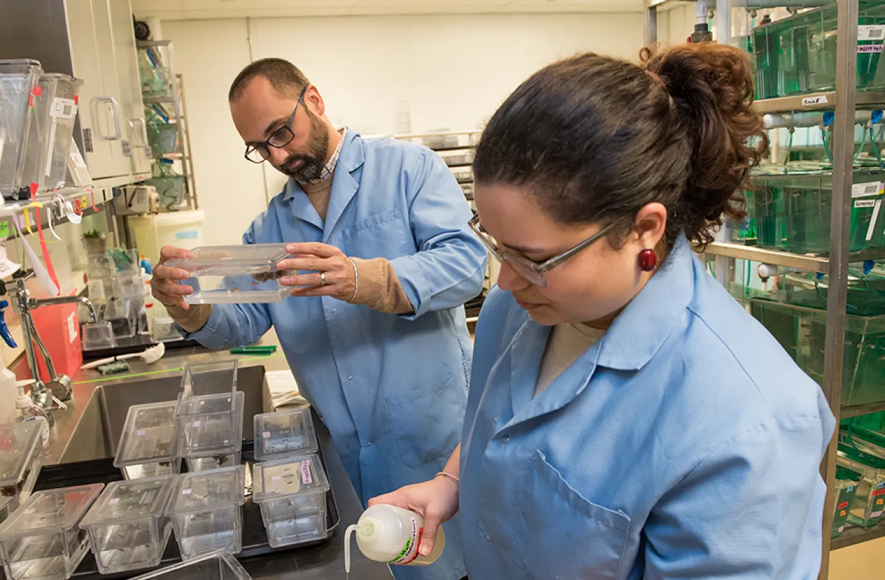 Associate professor Michael Barresi (left) is one of eight Smith faculty members who have received NSF Career grants since the program for early career faculty began in 1995.