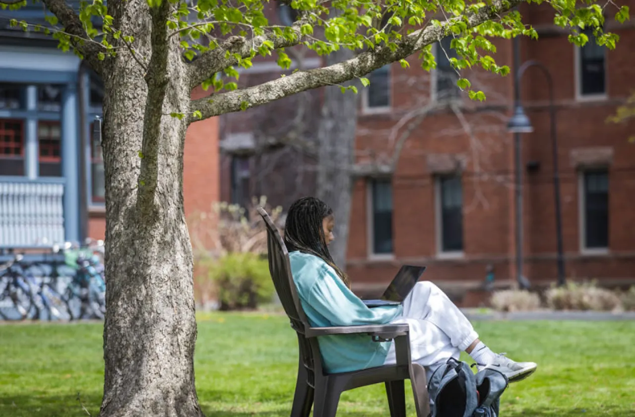 A student on a laptop under a tree