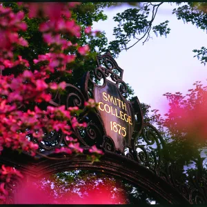 Grecourt Gates with pink flowers.