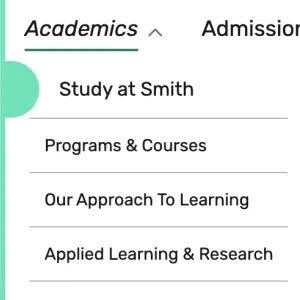 Screenshot of the primary navigation of the new site, highlighting Academics.