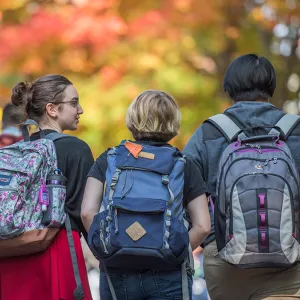 Three students with backpacks walking away from the camera