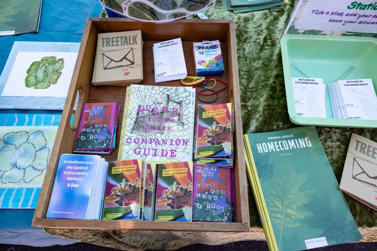 The zines cover a variety of topics, including assisted migration and volatile organic compounds.