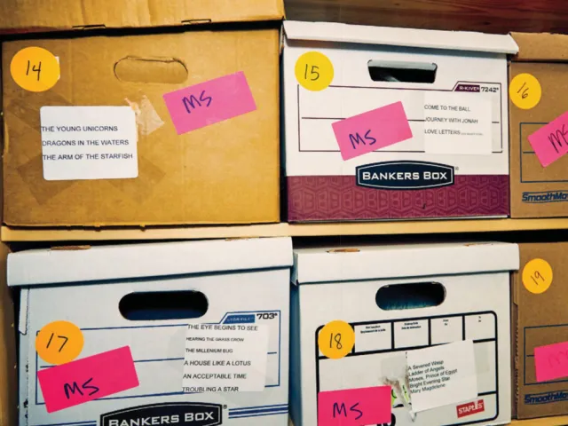 Boxed published and unpublished manuscripts