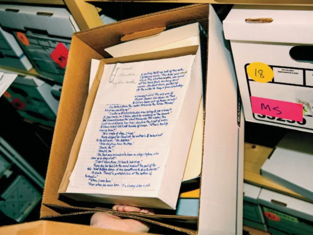 early draft of eye begins to see