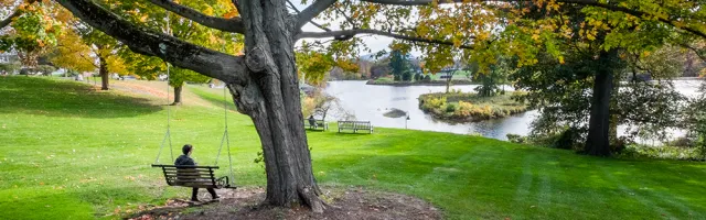 Paradise Pond in fall foliage with person sitting peacefully in swing