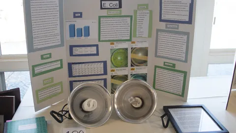 image of a student project at the science fair
