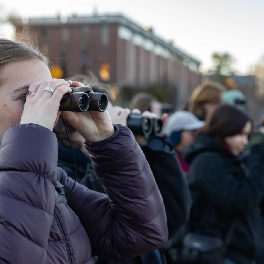 A student looks through binoculars at an Uncommon Tits bird walk