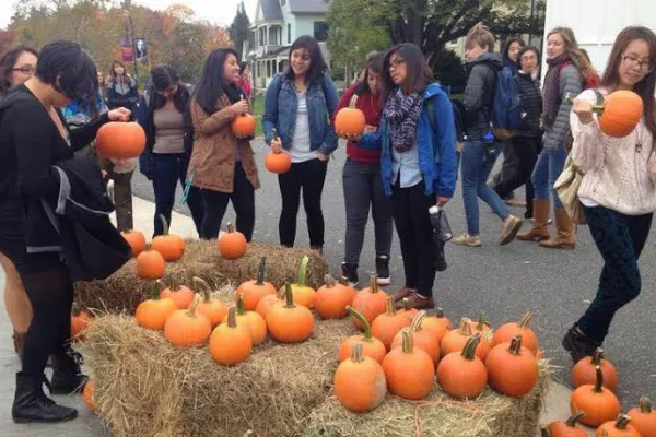 Picking out pumpkins