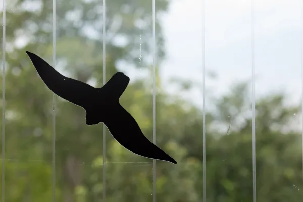 vertical lines on a window