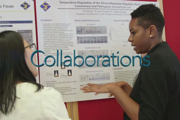 Celebrating Collaborations: Students and Faculty Working Together poster session